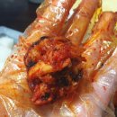 불위에서노는닭 이미지