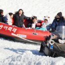 평창송어 - 춘천시 영서로 2155 | 평창송어