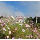 상전체련공원 네이버블로그
