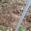 화영농장 이미지