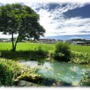 연못이 있는 풍경 이미지