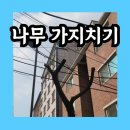 담 넘어간 나무 가지치기 업체