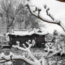 서정적인 이미지