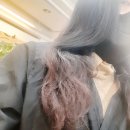 (주)코리아세븐역곡남부점 | 부천 범박동 미용실 역곡 세븐에비뉴에서 슈만 디렉터 뿌리염색 단발커트한 후기