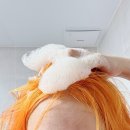 열번의 봄 | 봄비유 여성초 티트리 민감성 두피 쿨링 샴푸 후기｜두피열, 가려움, 유분 고민이라면