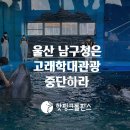 [핫핑크돌핀스 논평] 울산 남구청은 고래학대관광 중단하라 이미지