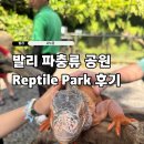 조이렙타일 | Bali reptile park 발리 파충류 공원 입장권 아이랑 가볼 만한 곳
