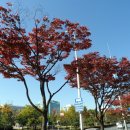 정부청사 입구(샘머리) 이미지