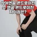 상어연골 vs. 소연골 콘드로이친! 관절에 더 좋은 건? 이미지