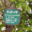 정릉6 이미지