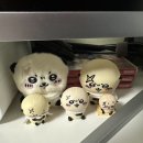 황금노가리I | 5월