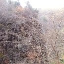 옥계동대산펜션 이미지