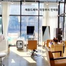 메종 드 펫 이미지