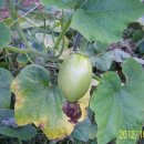 우천농장 이미지