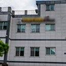 펫더헤븐 | 울산 고양이 장례식장 합법 인증 2곳 추천 (비용/후기 포함)