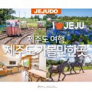 솔길농장 | 제주도 가볼만한곳 서쪽 동쪽 제주 여행 코스