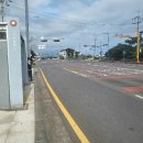 표선면 세화리 이미지