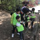 백호타이거즈태권도 이미지