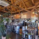 금성 담쟁이 이미지