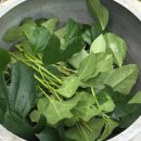 바이네츄럴