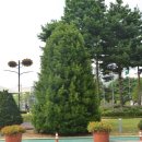 논산시청 이미지