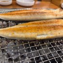 신흥장어 이미지