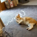 양덕동003 이미지