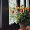 하남 숯불고기 | 학동역 숯불 돼지고기집 매장 넓은 하남돼지집 학동역점 후기