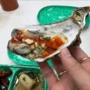 통영굴찜 이미지