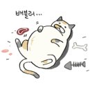 베리베리솔티 네이버블로그
