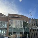 동환목장 | [광주 금호동] 대형 베이커리카페 도르르커피