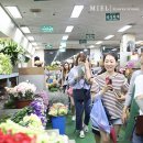미엘플레르 | 미엘플레르 꽃시장견학후기/생화코너편