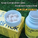 장이와 쟁이 | 먹고싶은 게 너무 많은 과식쟁이 식후루틴 루틴톡 파인톡 브로멜라인 먹어본 후기