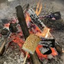 포레스트가든 이미지