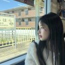 뽈뽈이 이미지
