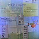 세븐일레븐교동중앙점 | 대강초37동창회 2일 차 : 2026.04.12 일요일