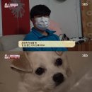 윤구농장 이미지