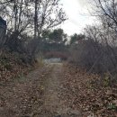 무릉도원면-3 이미지