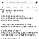 부산화폐 '동백전' 이미지