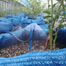 우원농장 이미지