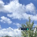 SK군산충전소 | 호두와 함께 전주&amp;군산 여행 도전하기 / 애견동반 전주 여행, 군산 여행 코스 추천 / 전주 애견동반...