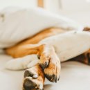 도담동물병원 이미지