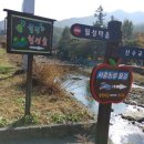 사선대야영장 이미지