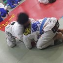 (주)유도