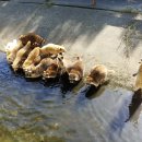 신광농장 이미지