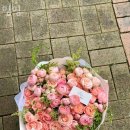 밈밈