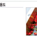 성진과일야채
