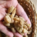 천식농장 이미지