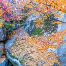 가을도 간다 - 도봉산 망월사 및 포대능선의 단풍 23.10.29 이미지
