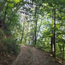 거북산당 | #3. 거북산 (해발 : 285.5m) | 충북 등산 추천 | 등산초보 | 충북 진천 거북산, 거북바위 등반 후기 ⛰️🥾